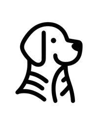 Enhances Pet Style & Personality